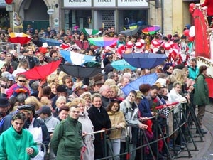 fasching3.jpg