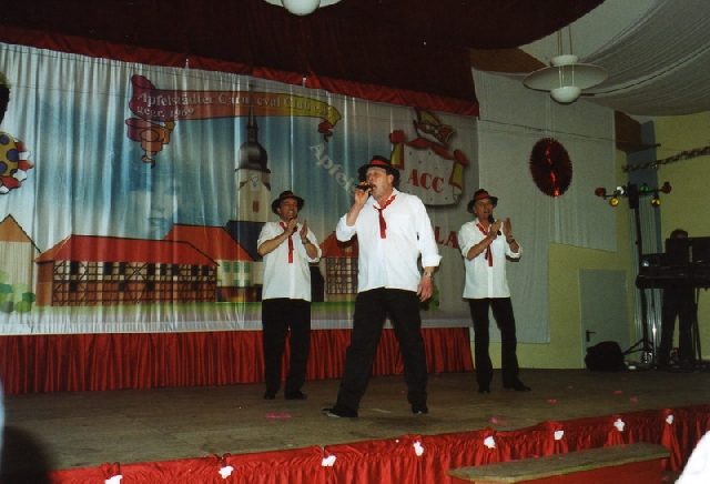 029 Partysaenger.jpg