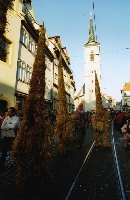 059 Umzug Erfurt 2007.jpg