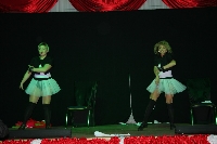 Fasching ACC2011026.jpg